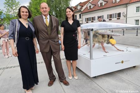 Čebela velikanka potuje po Kamniku (23)